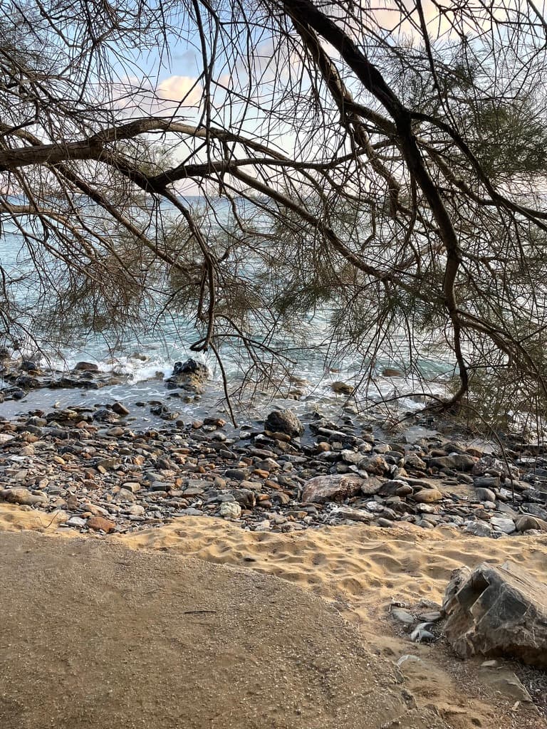 Rocky Mediterranean shore